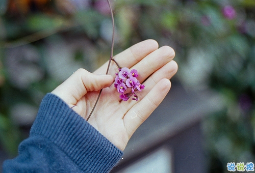 心里不痛快的說(shuō)說(shuō)有點(diǎn)想哭 感覺(jué)自己不容易的心情說(shuō)說(shuō)2