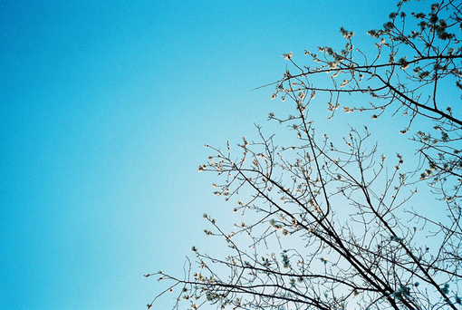 愛情中的孤獨(dú)寂寞說(shuō)說(shuō) 每個(gè)人都曾在愛情中流淚的傷感說(shuō)說(shuō)2