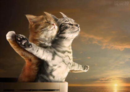 搞笑愛情說說心情短語，搞笑情感說說大全