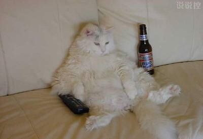 幽默的說(shuō)說(shuō)笑死人