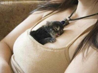 搞笑內(nèi)涵段子，史上最牛的內(nèi)涵段子