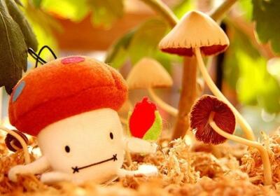 超級搞笑的說說，超級搞笑的段子