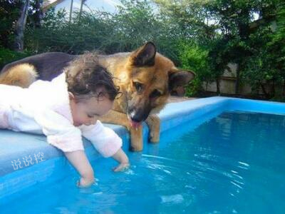 搞笑的說(shuō)說(shuō)句子心情