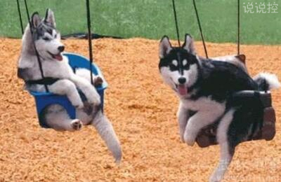 關(guān)于搞笑的說(shuō)說(shuō)，關(guān)于搞笑的句子