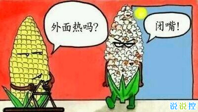 夏天熱的搞笑說(shuō)說(shuō)，關(guān)于天熱的搞笑段子