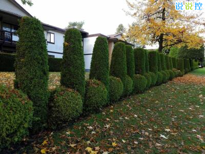 快手熱門搞笑段子，快手搞笑說說大全1