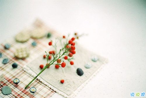 美好愛情說說心情短語(yǔ) 經(jīng)典愛情語(yǔ)錄甜甜蜜蜜1