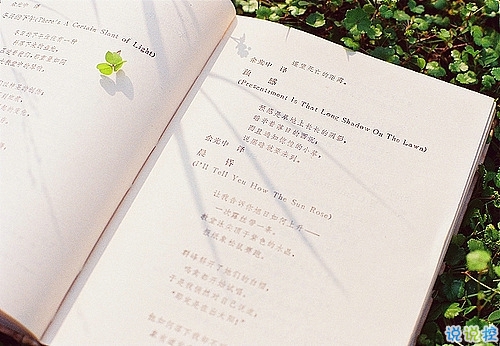 2019最火爆網(wǎng)易云音樂(lè)熱評(píng)短句大全 網(wǎng)易云音樂(lè)熱評(píng)關(guān)于愛情2