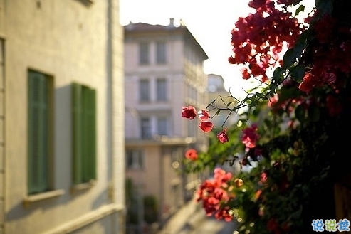 2019最新周末出去玩的心情說說 春暖花開外出游玩發(fā)朋友圈的說說2