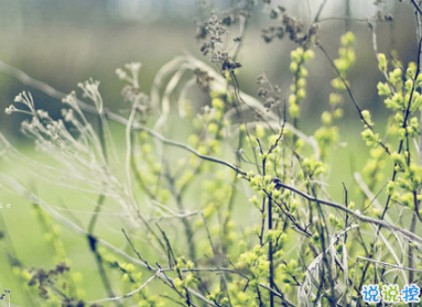 充滿陽光的簡短句子 鼓勵人的勵志說說心靈雞湯合集1