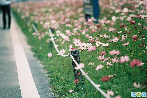 2018最后一天對自己說的話經(jīng)典版 致即將逝去的2018！2