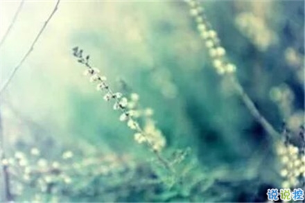 抖音經(jīng)典好聽的愛情說(shuō)說(shuō) 心有多近那么距離就有多近2