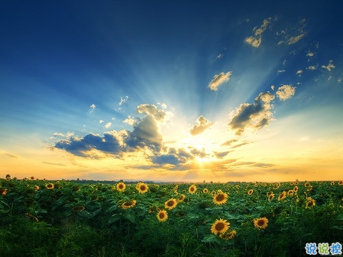 人生感悟說說剪短一點的 經歷成長的經典說說合集2