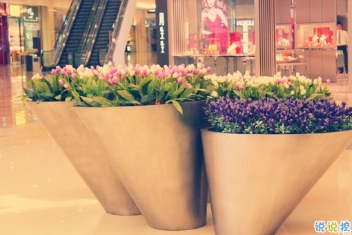 適合跨年夜發(fā)的個(gè)性說(shuō)說(shuō) 2019跨年說(shuō)說(shuō)暖心話語(yǔ)艾特對(duì)象2