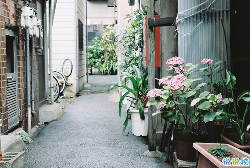 2019元宵節(jié)發(fā)朋友圈的搞笑說說大全 有創(chuàng)意不一樣的元宵節(jié)說說1