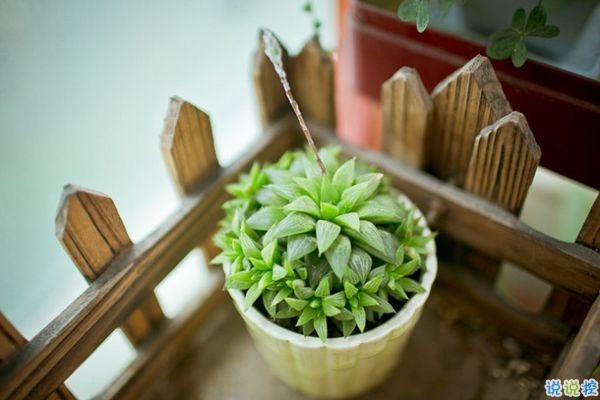 網(wǎng)易云音樂(lè)熱評(píng)語(yǔ)錄短語(yǔ)精選2019 我勸你早點(diǎn)喜歡我免得浪費(fèi)時(shí)間1