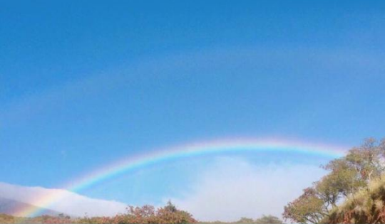 關(guān)于愛(ài)情最美好模樣的治愈文藝說(shuō)說(shuō)2