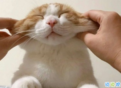 qq擴(kuò)列說說怎么寫逗比 超級搞笑有趣的擴(kuò)列說說2