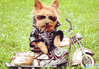 女人不花心，又怎么對得起貌美如花2