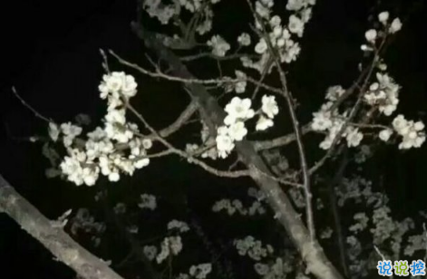 關(guān)于學習努力奮斗的說說致自己 提升自己的正能量說說激勵人心1