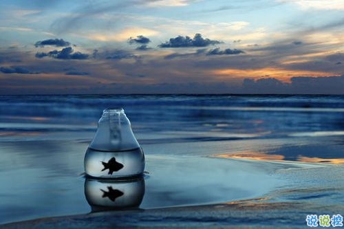 2019新年說(shuō)說(shuō)表白大全 新年表白男朋友的情話(huà)合集2