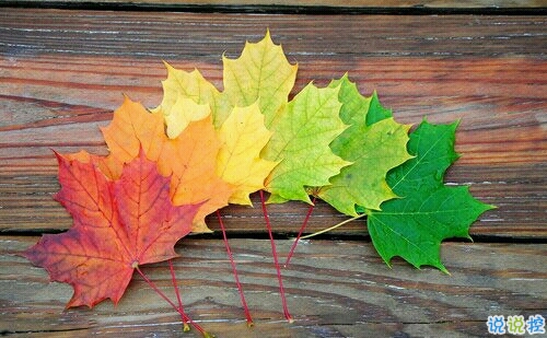 寫給閨蜜的一些說說句子很煽情 暖心的閨蜜說說簡單卻讓人感動2