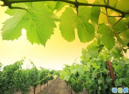 2019勵志早安問候語 最新早安心語一句話2