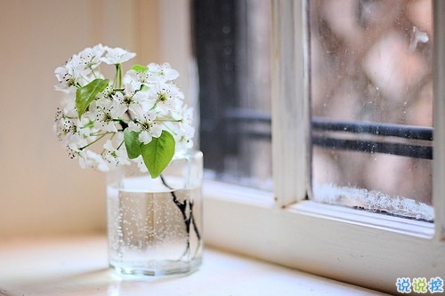 最能讓對(duì)方感動(dòng)的話很窩心 可愛呆萌的溫暖小情話1