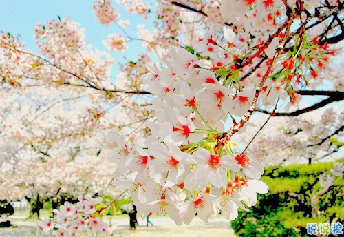 一句話描述90后的生活和心理狀態(tài) 90后對(duì)生活無奈的心情說說1