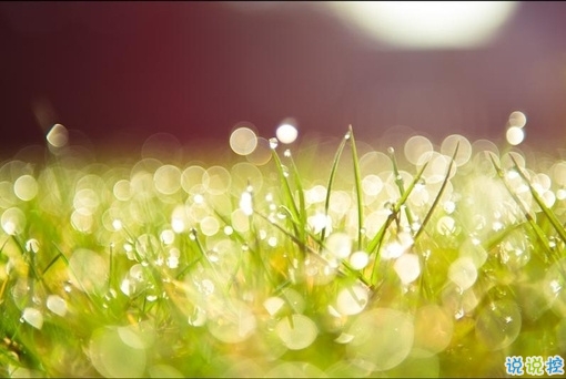 讓你爆笑的幽默有趣的句子 2019最流行搞笑說(shuō)說(shuō)逗比專(zhuān)屬2