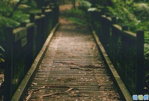 現(xiàn)實(shí)又很扎心的一段經(jīng)典勵(lì)志說說 很現(xiàn)實(shí)很有道理的經(jīng)典說說2