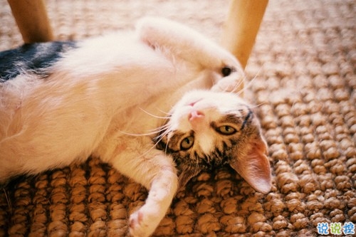 2018有深刻哲理的經(jīng)典說說大全 很深刻精辟有內(nèi)涵的哲理說說2