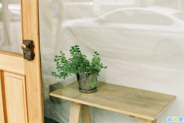 網(wǎng)易云音樂(lè)熱評(píng)語(yǔ)錄短語(yǔ)精選2019 我勸你早點(diǎn)喜歡我免得浪費(fèi)時(shí)間2