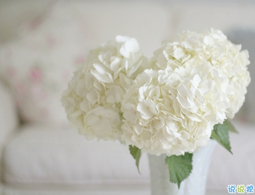 給人正能量的早安句子2019精選 早安說(shuō)說(shuō)簡(jiǎn)短經(jīng)典一句話2