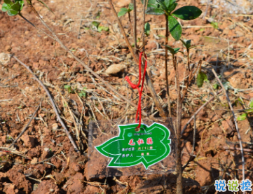 2019植樹節(jié)朋友圈說(shuō)說(shuō)大全 312關(guān)于植樹節(jié)的心情說(shuō)說(shuō)1