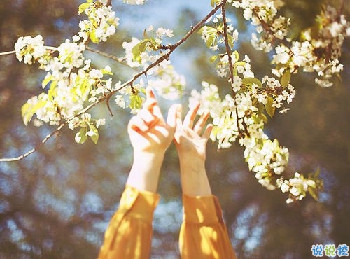 想說(shuō)給你的一句心里話愛情說(shuō)說(shuō) 愛情說(shuō)說(shuō)很現(xiàn)實(shí)的說(shuō)說(shuō)1