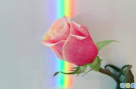 只想送給自己的句子說(shuō)說(shuō)心情精選 朋友圈適合艾特自己的說(shuō)說(shuō)大全2