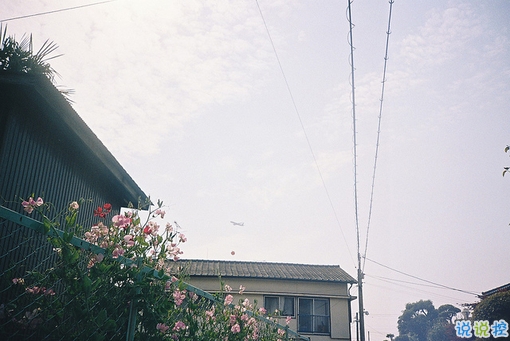 青春唯美文藝說說大全 關于我們逝去青春的經典文藝說說2