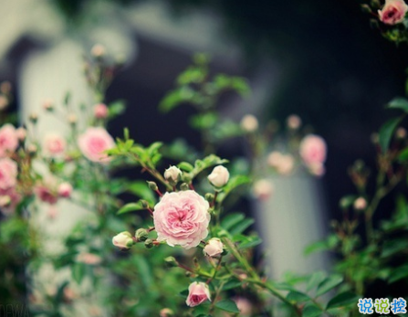 微信朋友圈一句話正能量說說 最新霸氣勵志說說致自己大全1