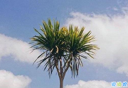 2019勵志早安問候語 最新早安心語一句話1