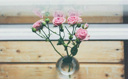 2019微信經(jīng)典說說心情短語 每個(gè)人必須了解的經(jīng)典句子2