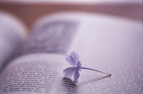 關于愛情的經典說說 有些愛只能止于唇齒掩于歲月1