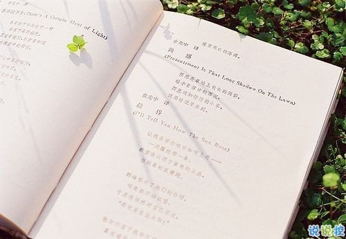 長(zhǎng)大變成熟的經(jīng)典說(shuō)說(shuō)大全 適合發(fā)說(shuō)說(shuō)的人生硬道理1