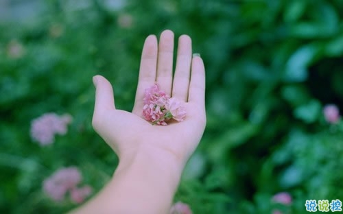 有點(diǎn)好笑又甜蜜的土味情話大合集 我是可愛的小姑娘你是可愛1