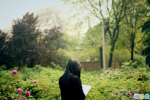 寫(xiě)給我們逝去的青春和年華的心情說(shuō)說(shuō) 青春是淡淡的憂傷的心情說(shuō)說(shuō)2