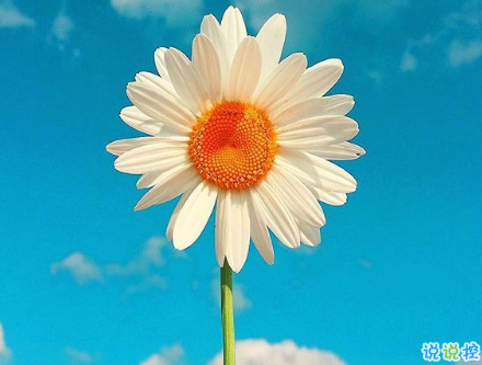 對(duì)愛情徹底死心的傷感說(shuō)說(shuō)2018 一句話讓人瞬間落淚的愛情說(shuō)說(shuō)1