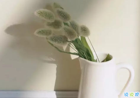 ?告別八月迎接九月的正能量早安說說 朋友圈九月早安心語說說20183