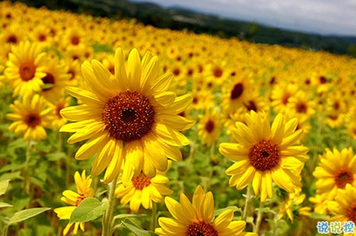 人生感悟說說剪短一點的 經歷成長的經典說說合集1