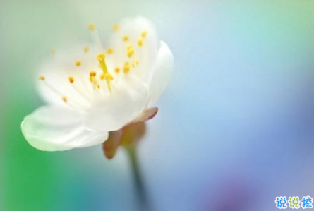 適合這個(gè)年紀(jì)發(fā)的說(shuō)說(shuō)朋友圈 簡(jiǎn)單又走心的心情說(shuō)說(shuō)引人共鳴2