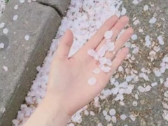 抖音上熱門(mén)說(shuō)說(shuō)大全 抖音最火個(gè)性說(shuō)說(shuō)絕對(duì)精辟